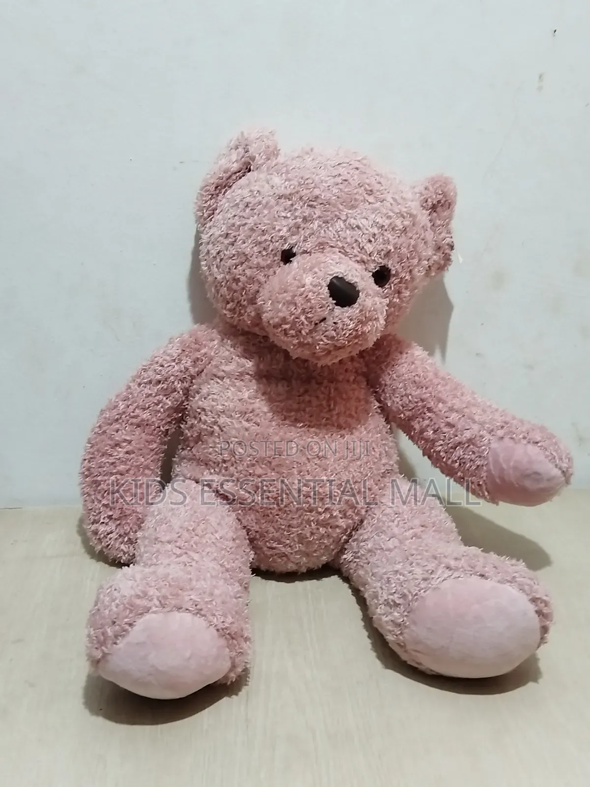 Teddy Bear for Boys and Girls