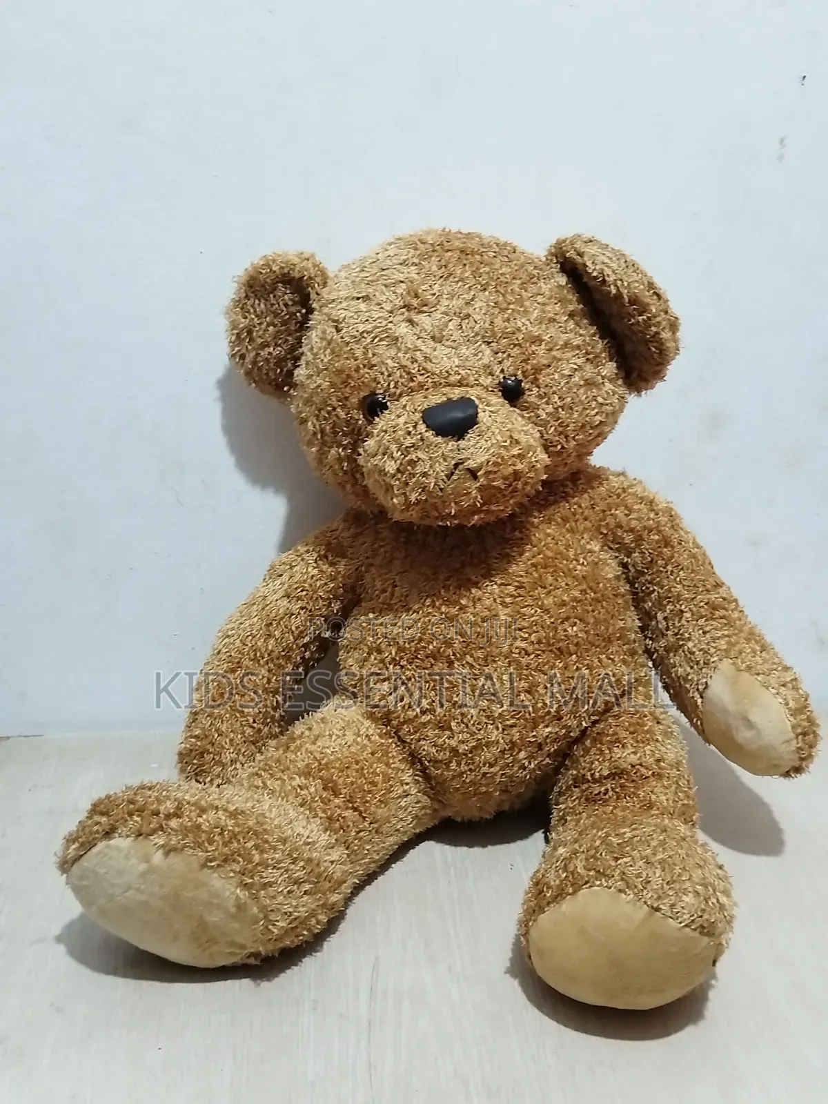 Teddy Bear for Boys and Girls