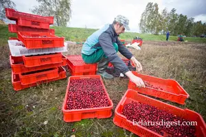 Agricultural Farm Workers Needed in Belarus (Europe)