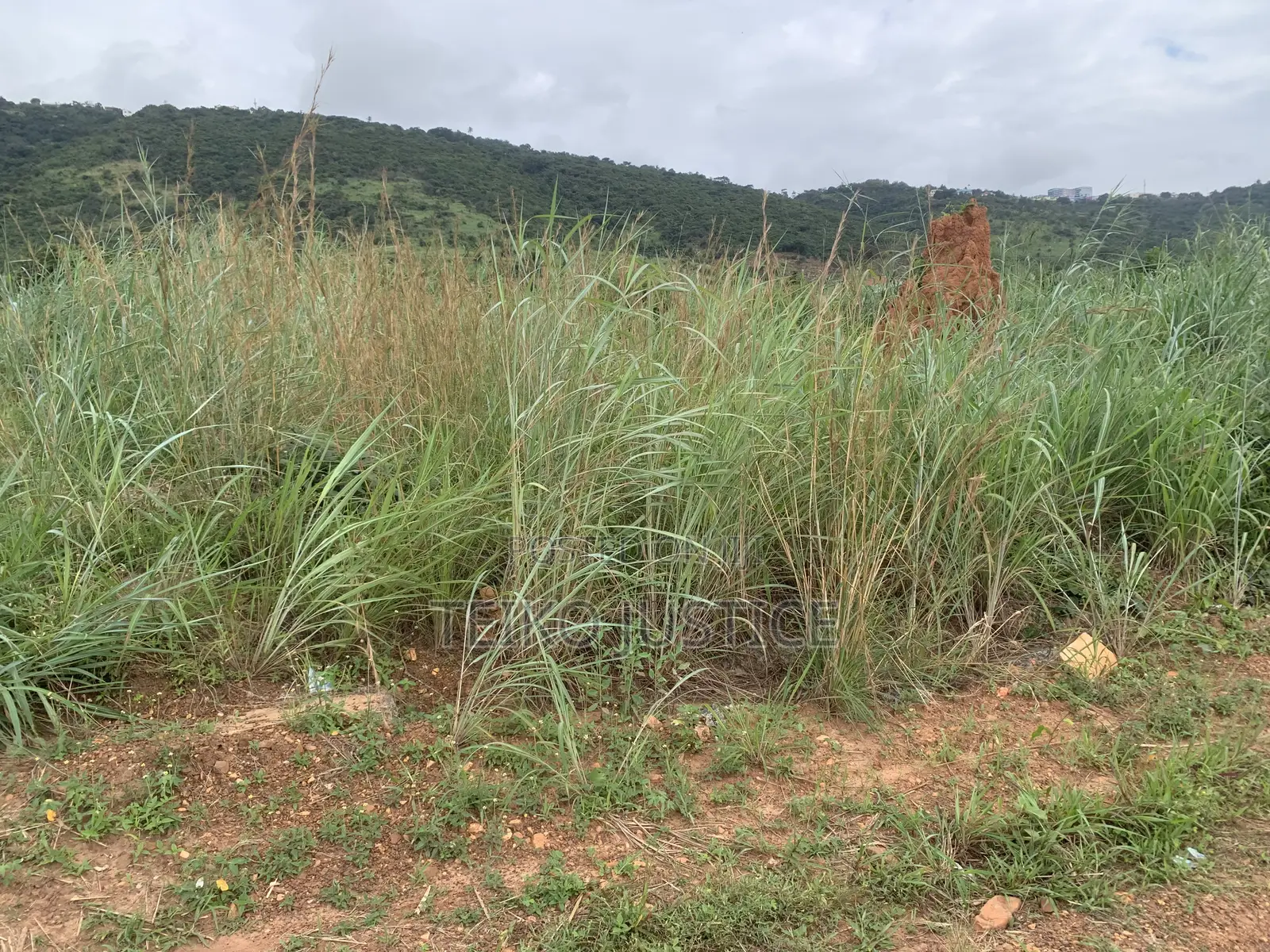 Land at Ayikuma for Sale