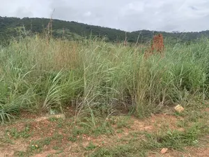 Land at Ayikuma for Sale