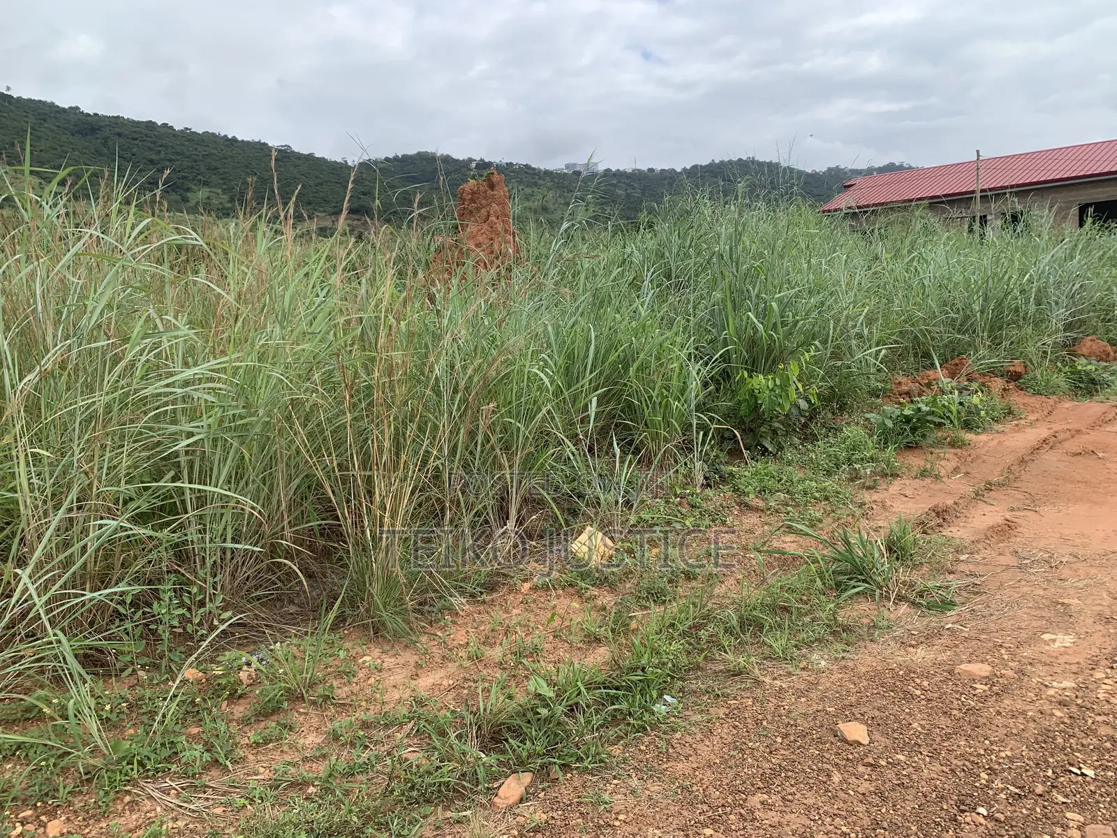 Land at Ayikuma for Sale