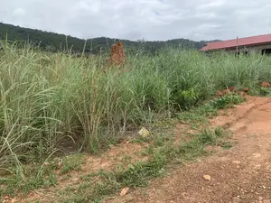 Land at Ayikuma for Sale