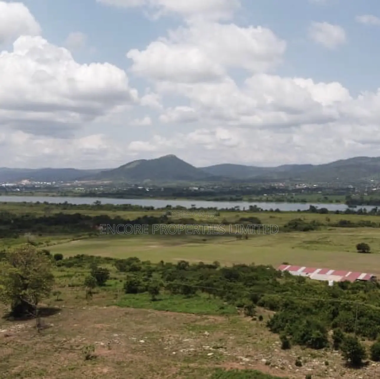 100 Acres of Fertile Farmland in Atimpoku, Akrad