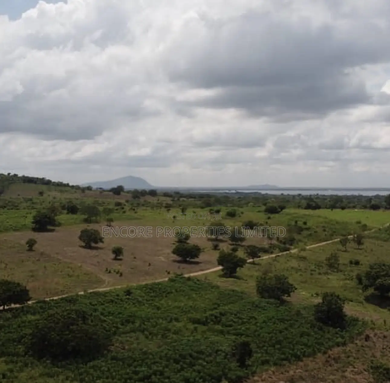 100 Acres of Fertile Farmland in Atimpoku, Akrad