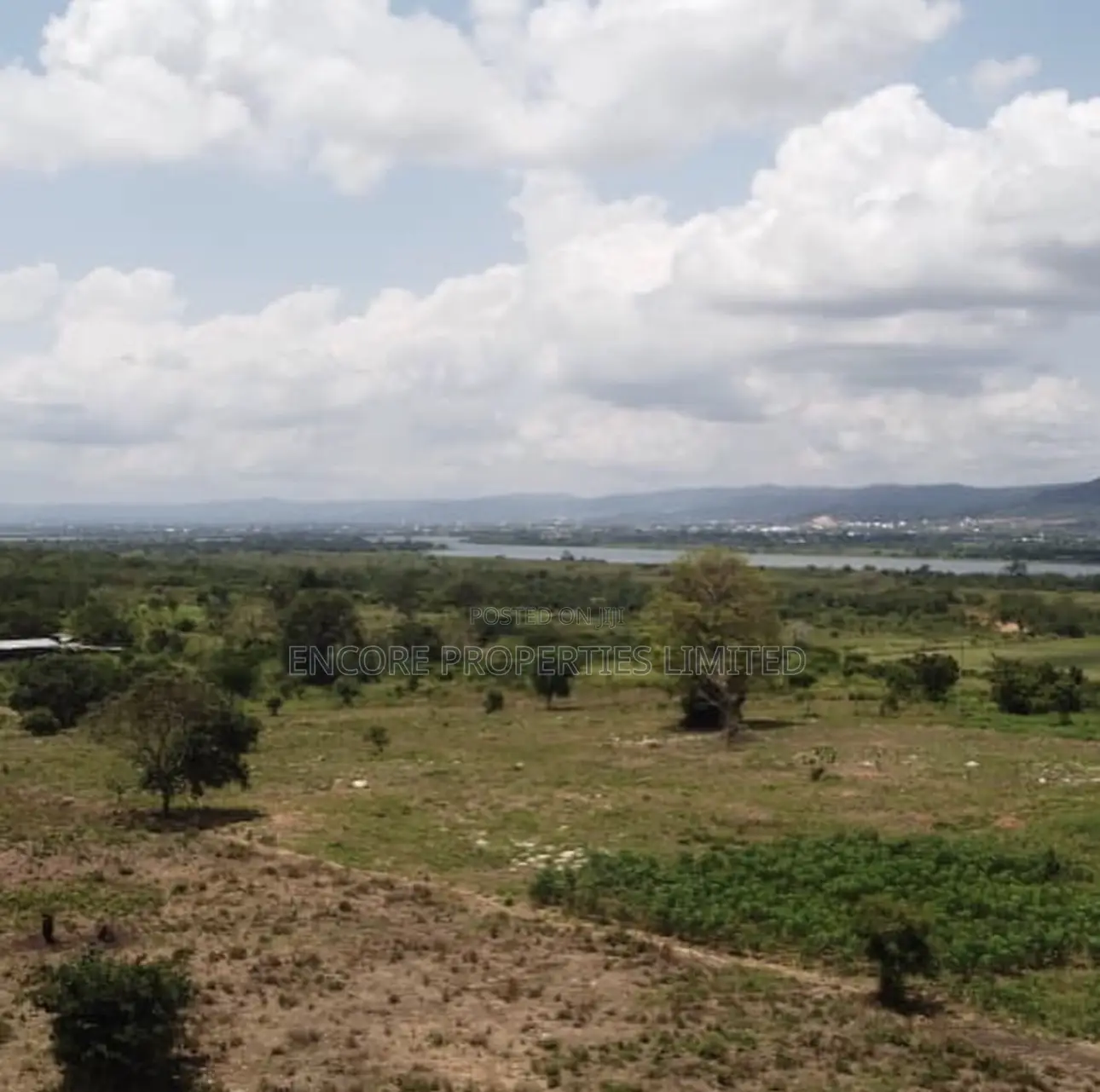 100 Acres of Fertile Farmland in Atimpoku, Akrad