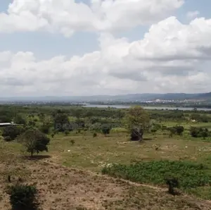 100 Acres of Fertile Farmland in Atimpoku, Akrad