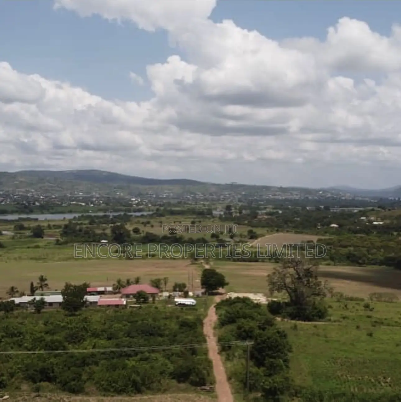 100 Acres of Fertile Farmland in Atimpoku, Akrad