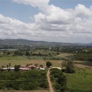 100 Acres of Fertile Farmland in Atimpoku, Akrad