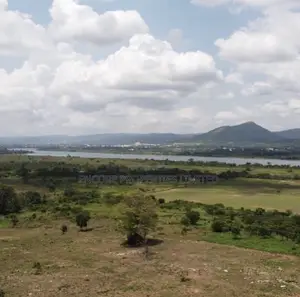 100 Acres of Fertile Farmland in Atimpoku, Akrad