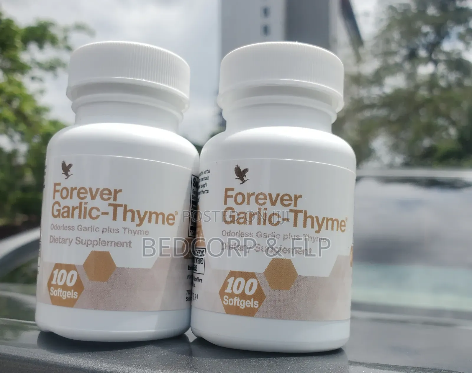 Fl Garlic Thyme