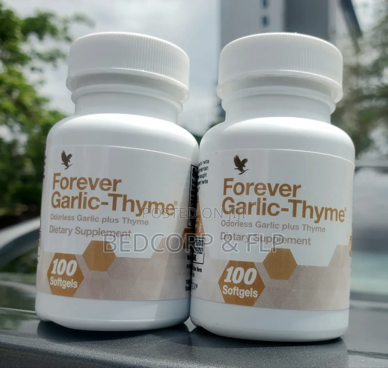Fl Forever Garlic Thyme
