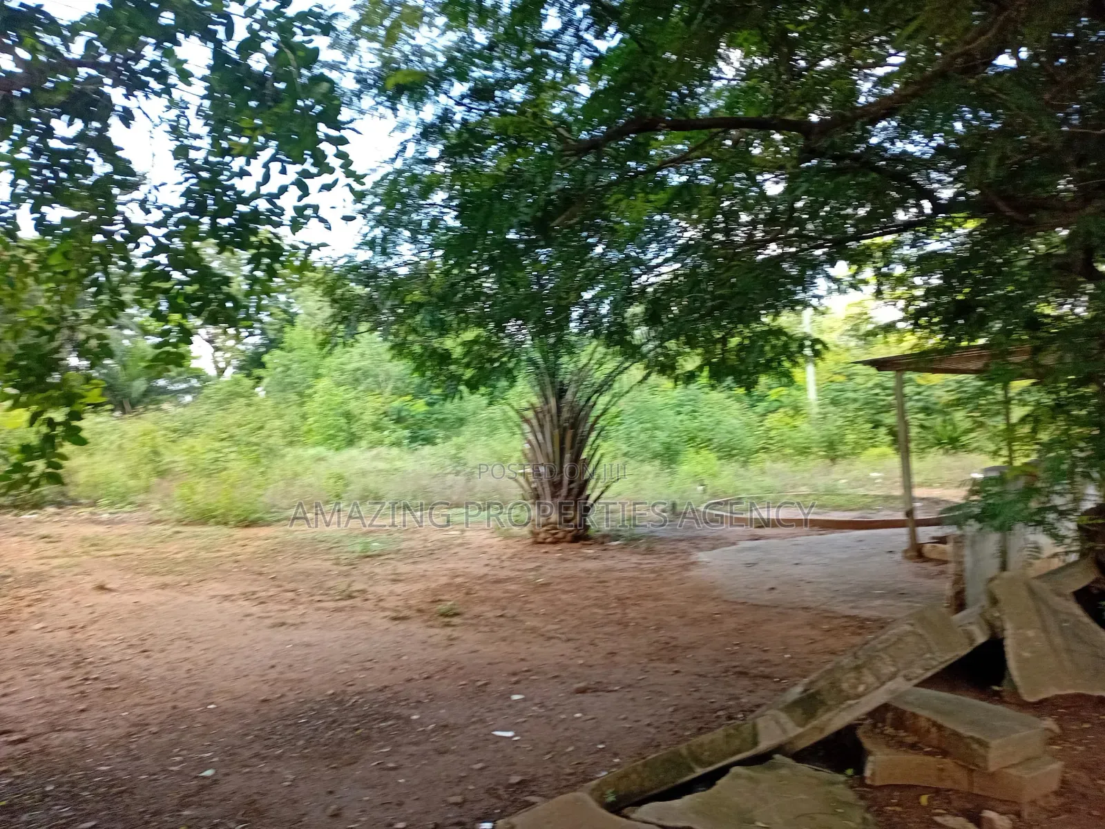 Farmland 150 Acres at Nsawam Accra Kumasi New