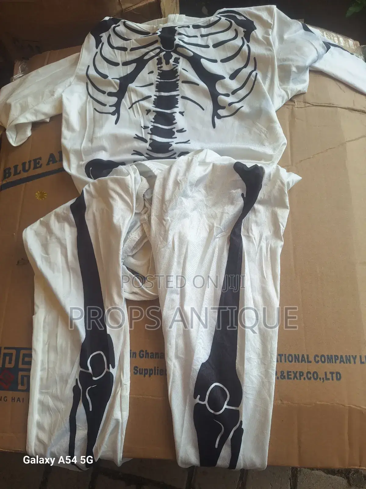 Adult Fancy Costumes