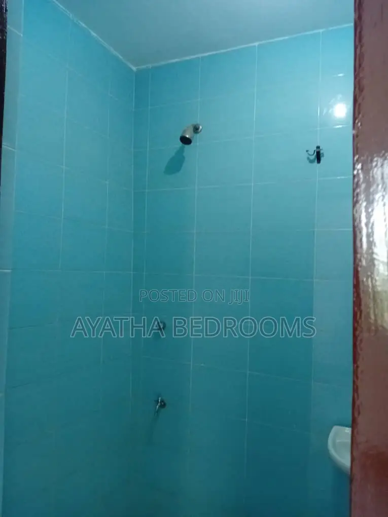 2bdrm Apartment in Modern Properties, New Town for rent