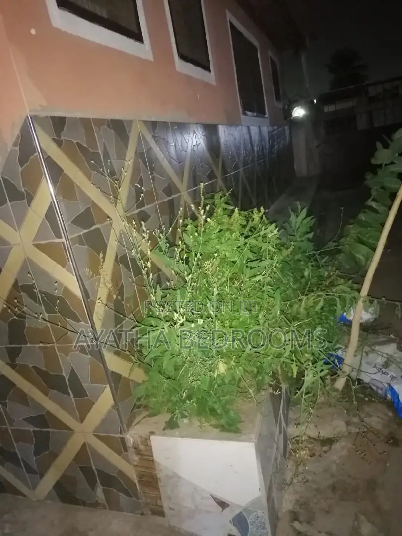 2bdrm Apartment in Modern Properties, New Town for rent