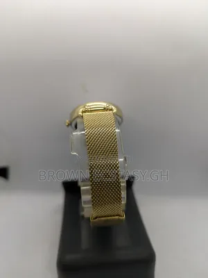 Ferrucci Ladies Watch