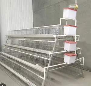 Chicken Cage