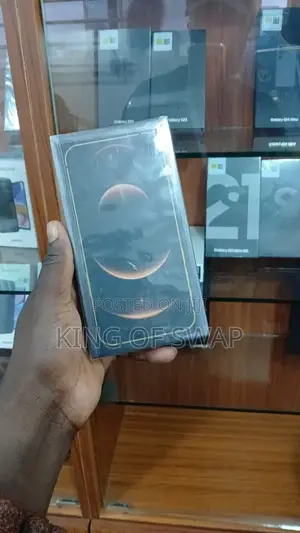 New Apple iPhone 12 Pro Max 256 GB Gold