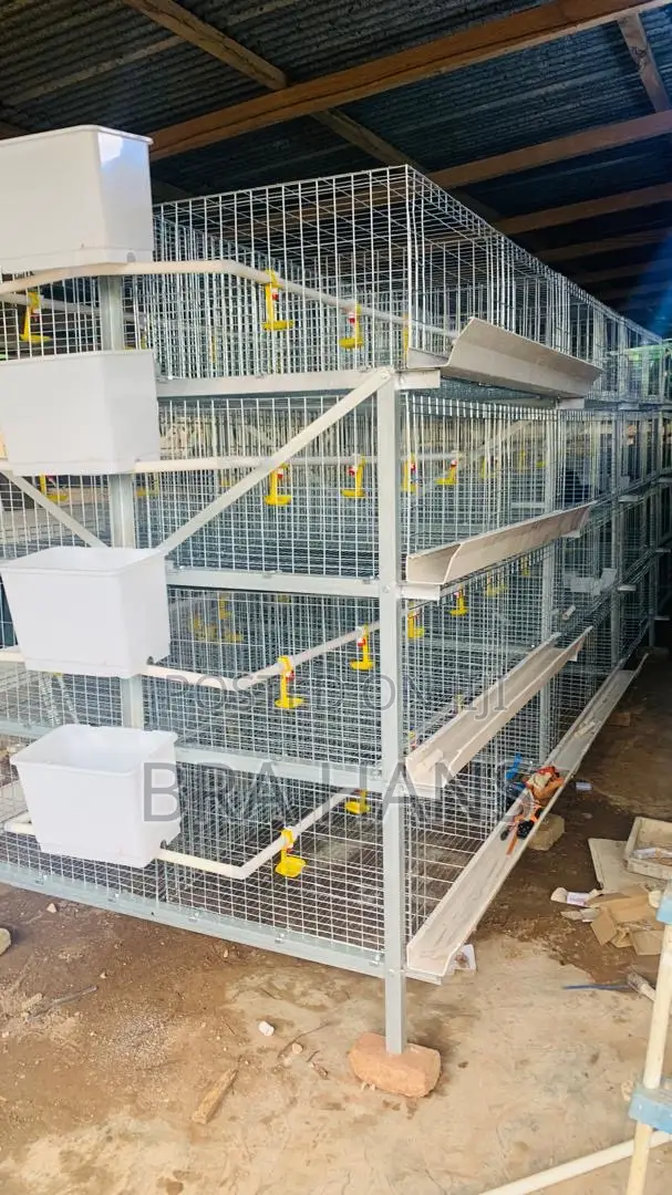 H- Type Battery Cage With Tray (4 Tier) 160 Capacity