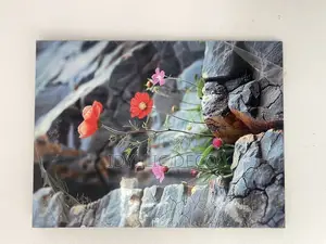 Classic Wall Canvases for Wall Decor 