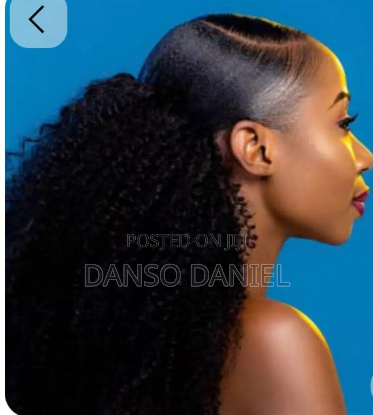 Fro Doll Pony Tail