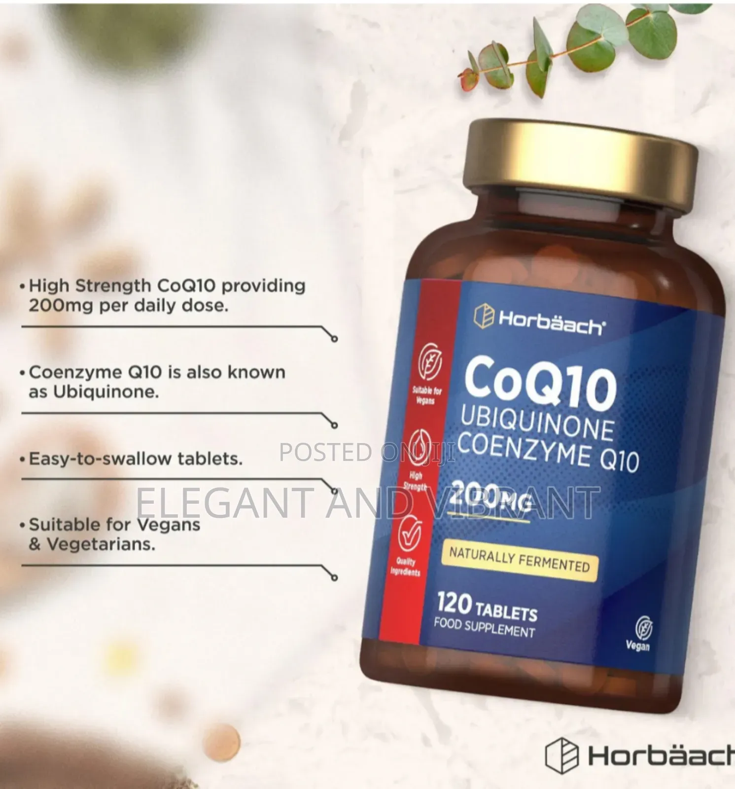 Coq10 Coenzyme Q10 200 Mg | 120 Tablets