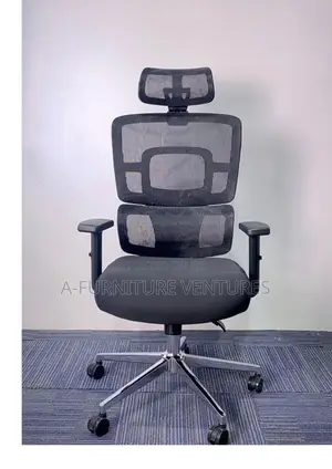 Orthopedic Mesh Chair