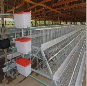 Battery Cage A-type (3 Tier) 120 Capacity