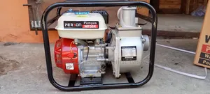 Person Wp30 Water Pump