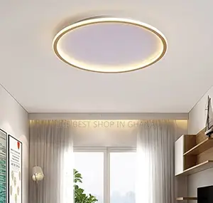 Litfad Minimalistic Flush Mount Light Available