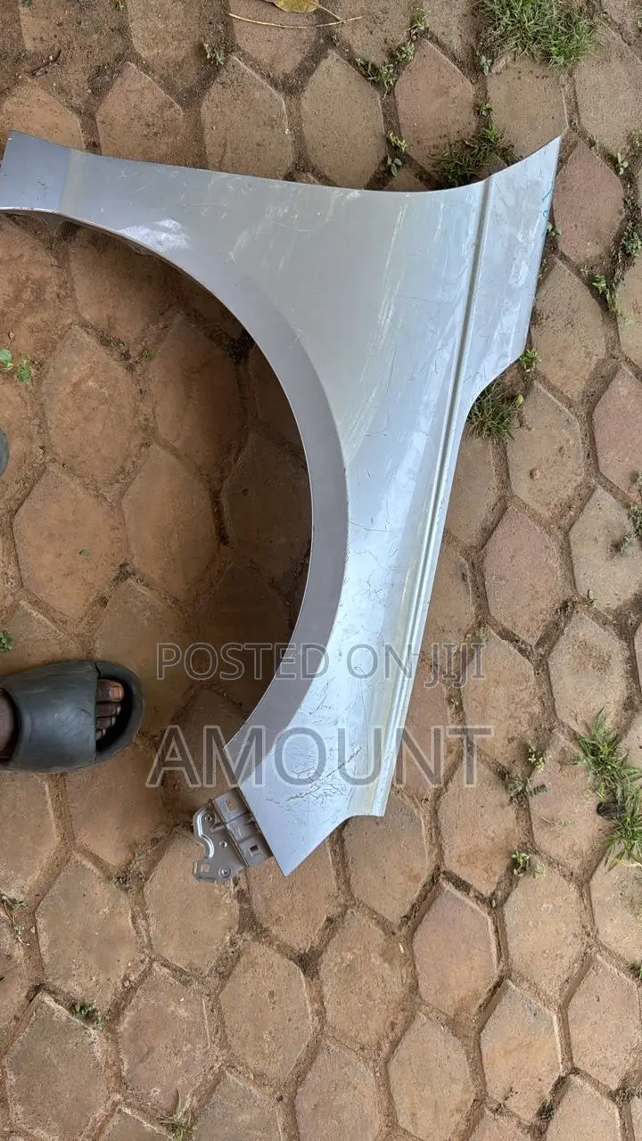 Honda Accord 2024 Fender