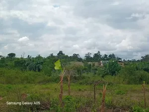 Plots of Land for Sale