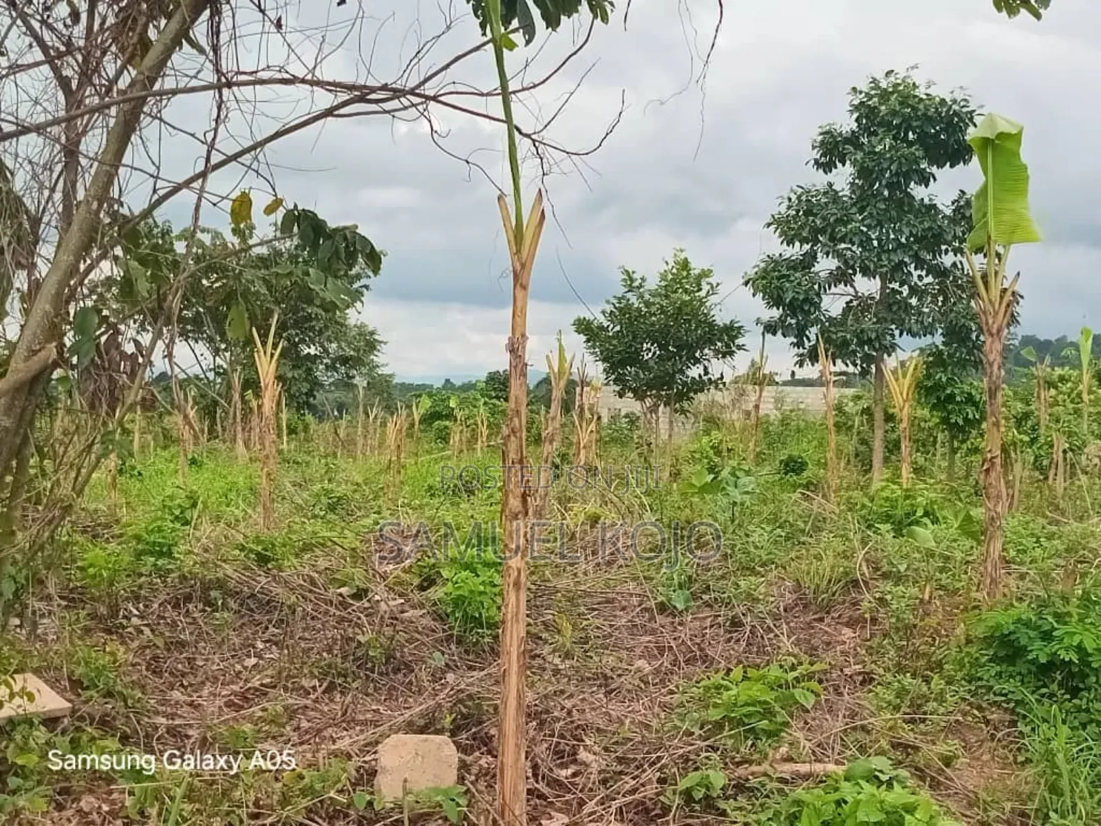 Plots of Land for Sale