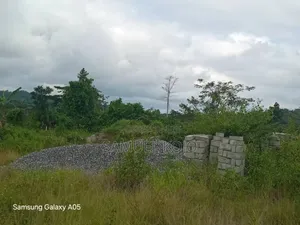 Plots of Land for Sale