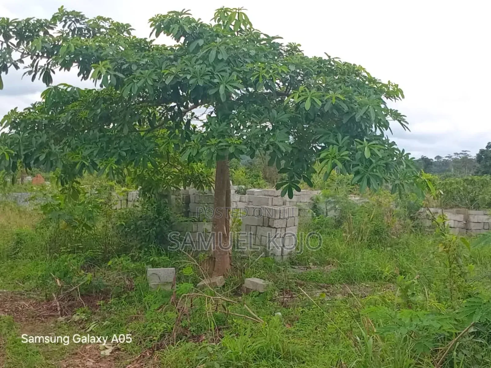 Plots of Land for Sale