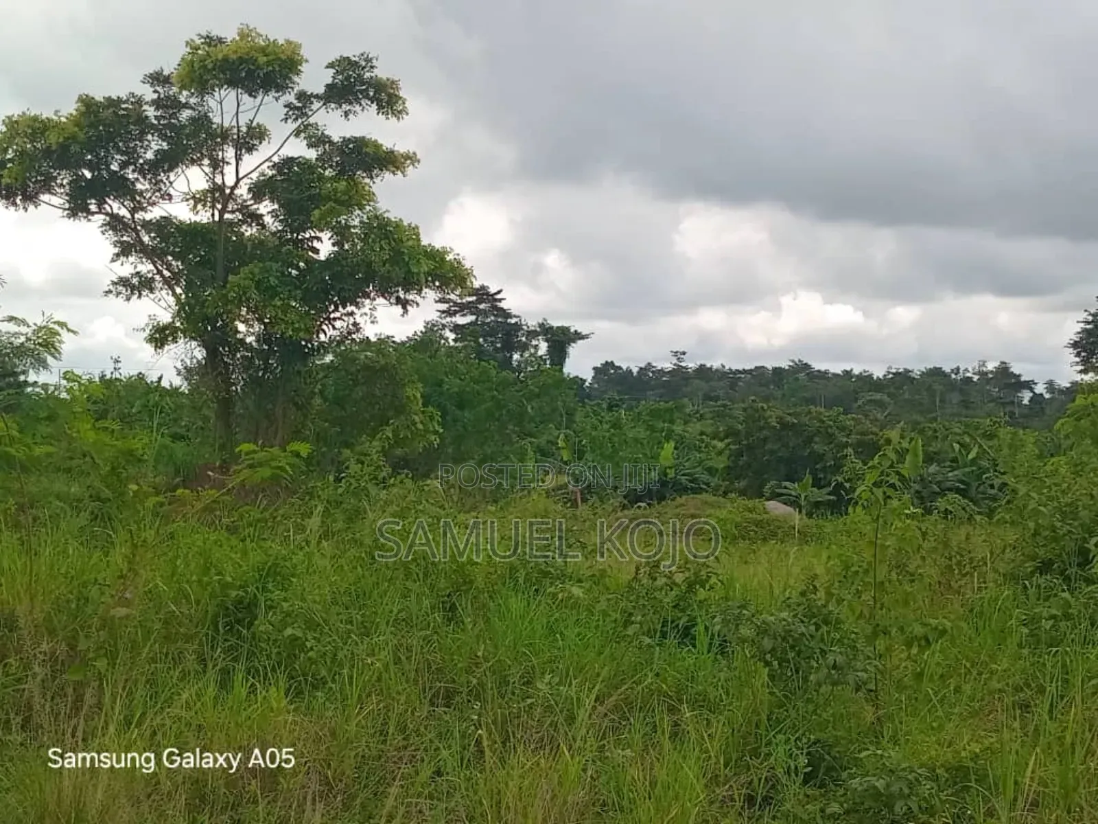 Plots of Land for Sale