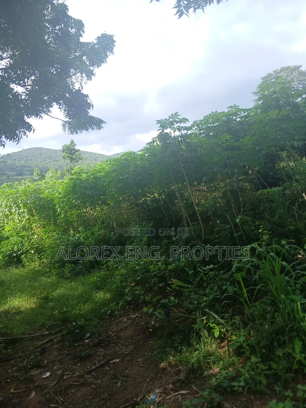 Land for Sale at Dodowa Ayikuma
