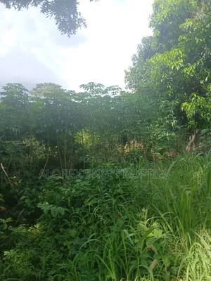 Land for Sale at Dodowa Ayikuma