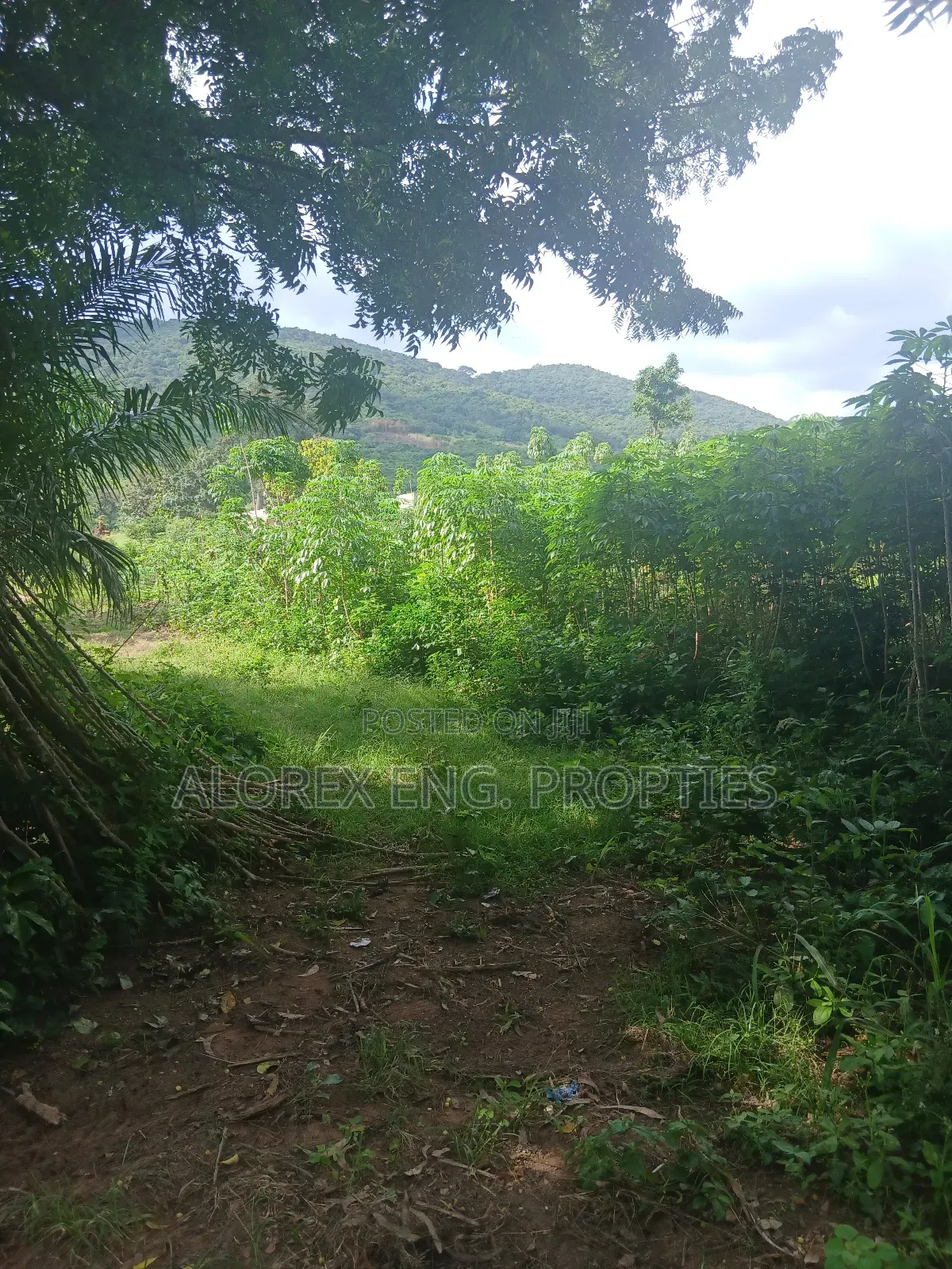 Land for Sale at Dodowa Ayikuma