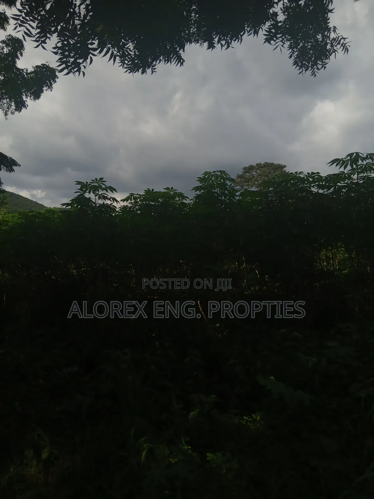 Land for Sale at Dodowa Ayikuma