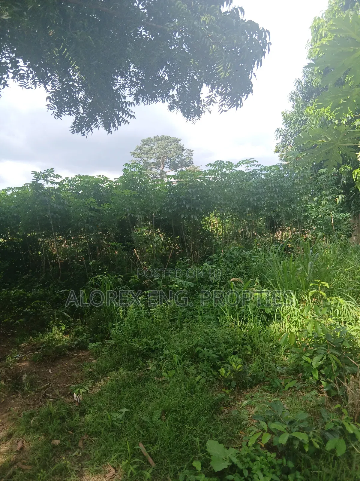 Land for Sale at Dodowa Ayikuma