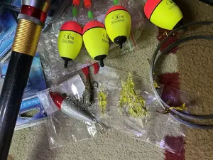 Fishing Rod