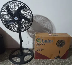 2 Standing Fans in 1 Box