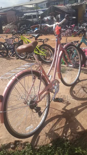 Bicycle With Cute Design