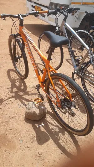 Carrera Sweet Bike With Lovely Speed and Gears Selector