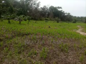 Commercial Farm and a Two Bedroom Farm for Sale at Kumasi.