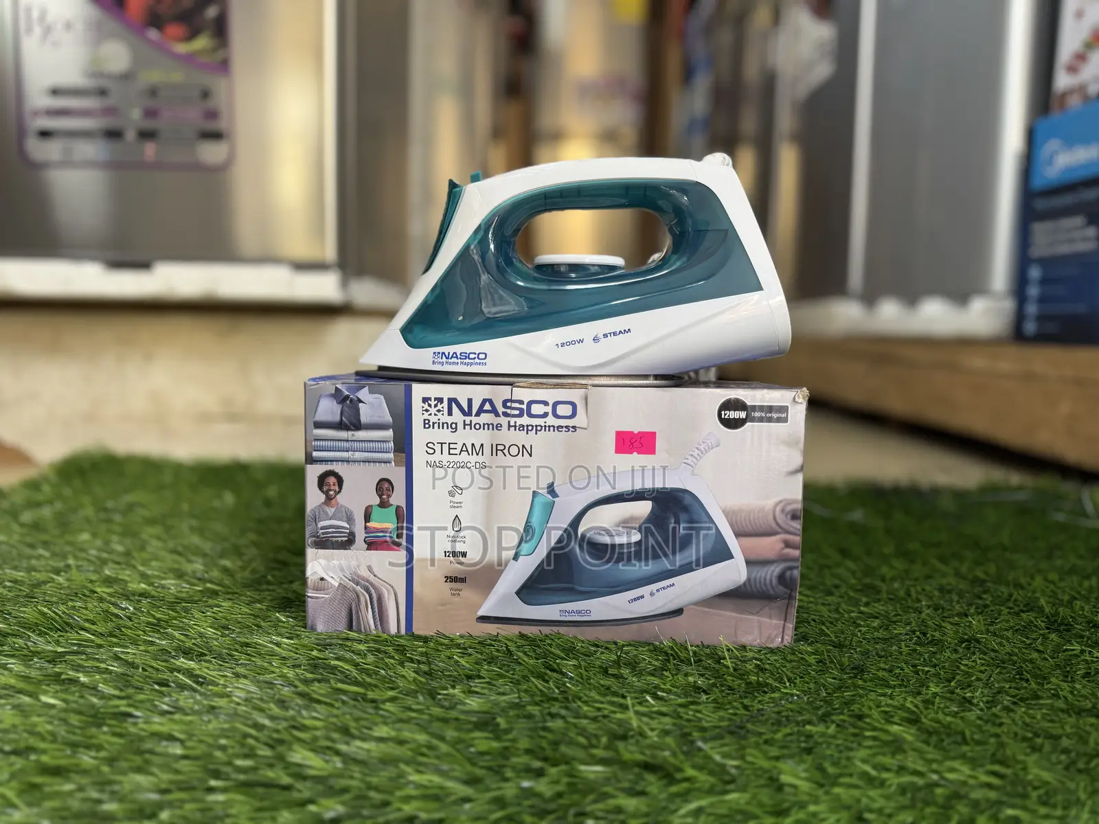 Nasco Steam Iron
