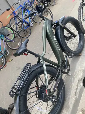 Electric Bicycle