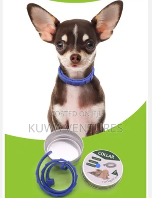 Tick And Flea Repellant Collar For Dogs